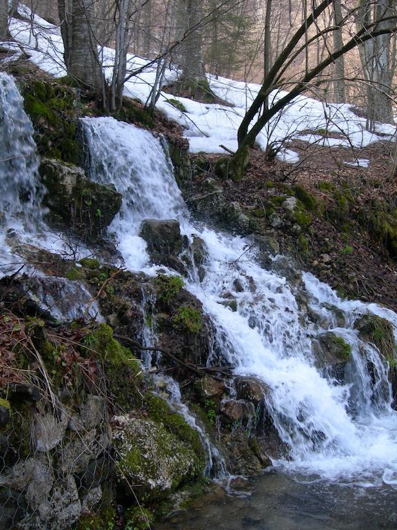ホテル Rifugio Monte Baldo アーヴィオ 部屋 写真