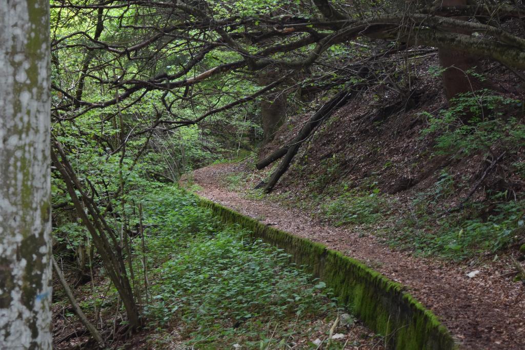 ホテル Rifugio Monte Baldo アーヴィオ エクステリア 写真